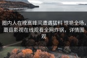 圈内人在晚高峰间遭遇猛料 惊艳全场，蘑菇影视在线观看全网炸锅，详情围观