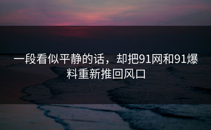 一段看似平静的话，却把91网和91爆料重新推回风口