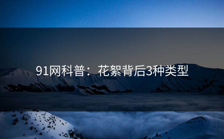 91网科普:花絮背后3种类型 91网科普:花絮背后3种类型
